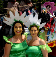Lewes Carnival 2009